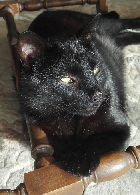 Clique pour agrandir ...